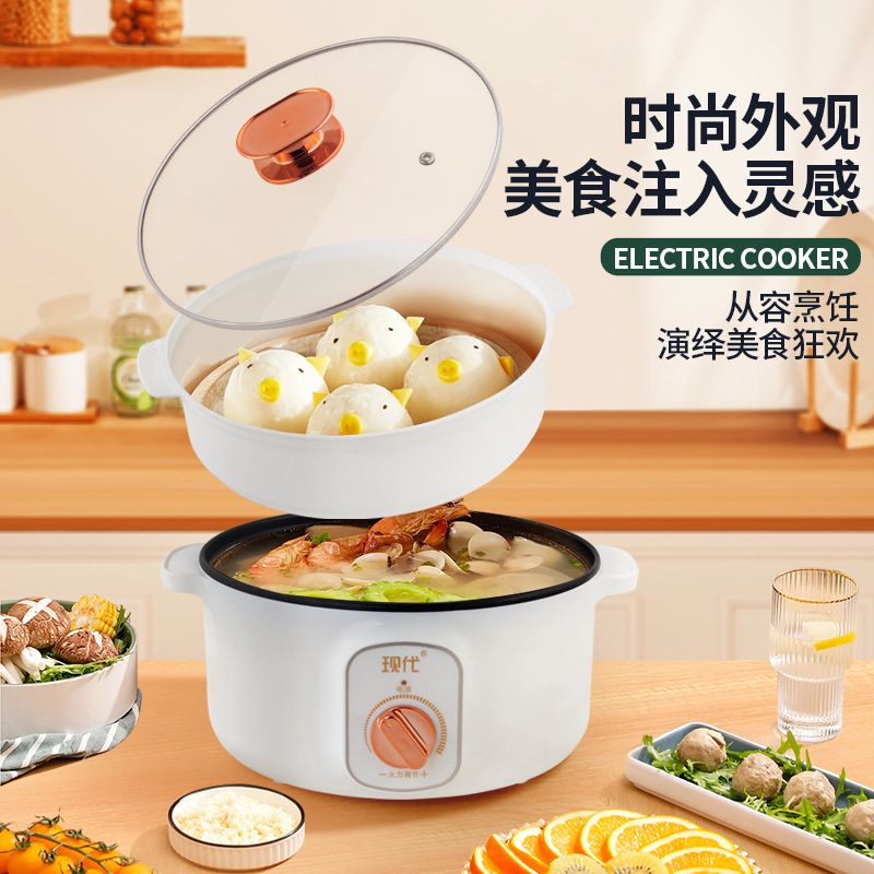 Multifunktionaler Mini-Elektro – Home Cooking Appliances Bewertung und Preis