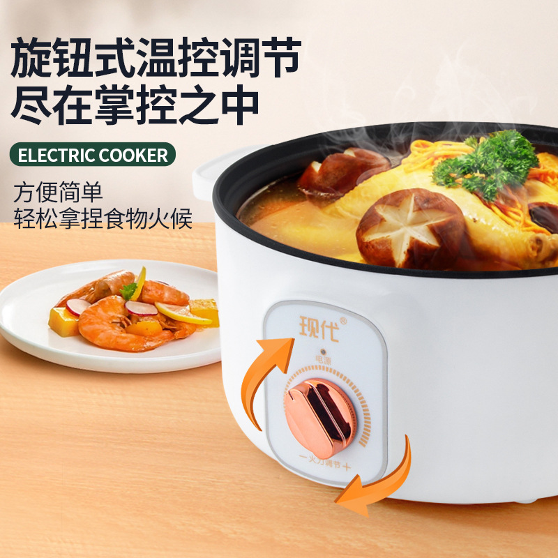 Multifunktionaler Mini-Elektro – Home Cooking Appliances Bewertung und Preis